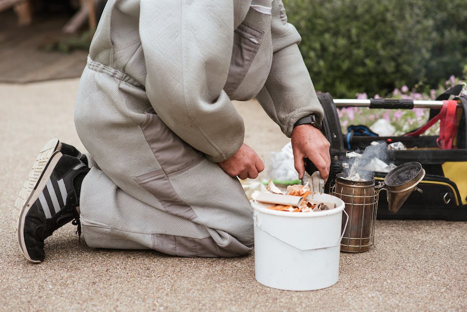 Organic SEO Expert Reveals Proven Strategies to Skyrocket Rankings