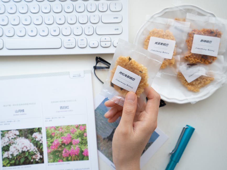 “Revolutionizing Your Agency with White Label SEO Services”