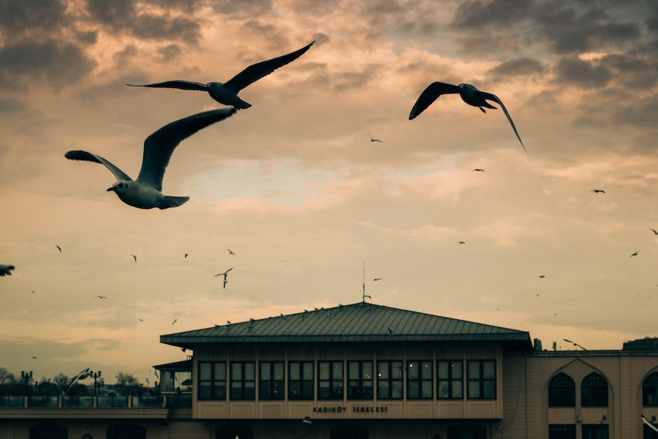 free link building_1